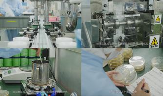 櫻花約定，匠心傳承 日本娜麗絲衛生用品的前世今生